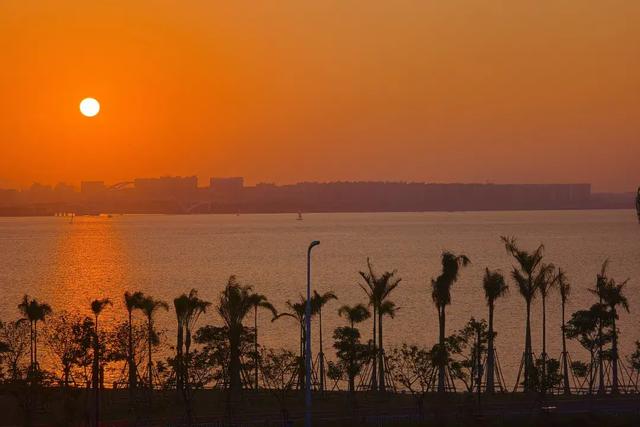 厦门这家新开业的万怡，泳池堪比W！就在五缘湾对面，海景绝了