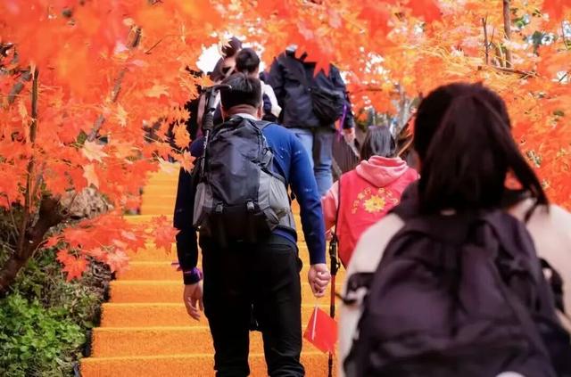 临沂这抹红，醉了秋日山水