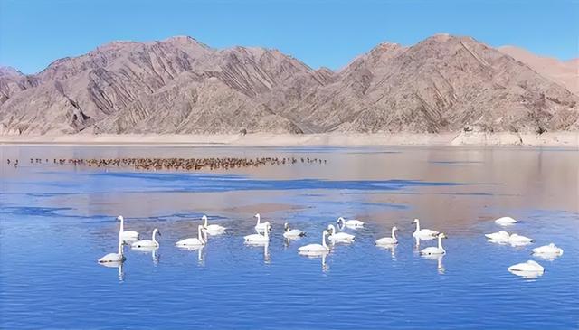 【互动交流】御山峡 丝路古道上的山水画卷