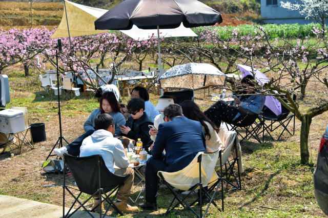 悦遵义·赴春约|三渡镇赏花游活动来啦!!!
