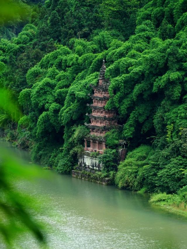 去了趟眉山,真心建议:不要贸然去眉山,除非你做好不想走的准备