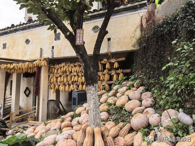 2025年秋老姐俩江西行，去篁岭看晒秋