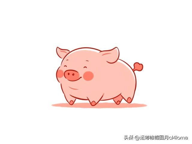 属猪的朋友，注意了！11月21号至26号，你的生活要变天了！