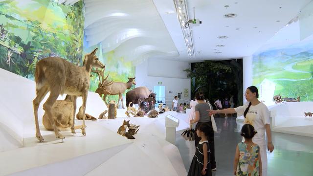 清凉“充电” 科普盛宴 重庆自然博物馆暑期迎客潮