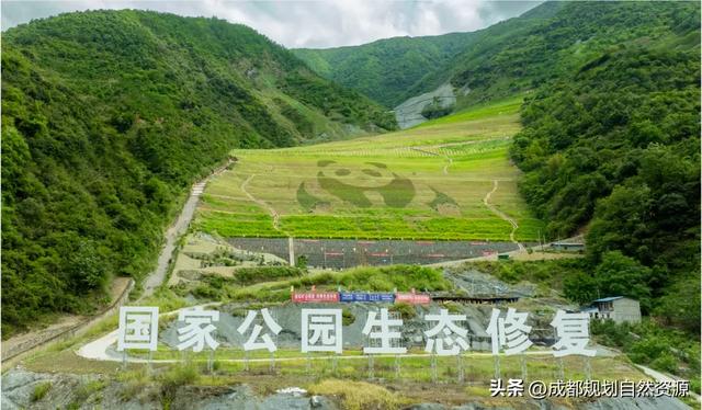 “两山”理念20年丨让巴山蜀水更加秀美安澜