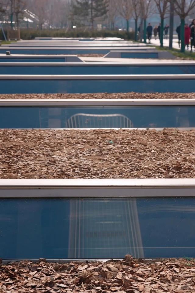 终于等到！北京CBD核心区公共绿地广场开放了！