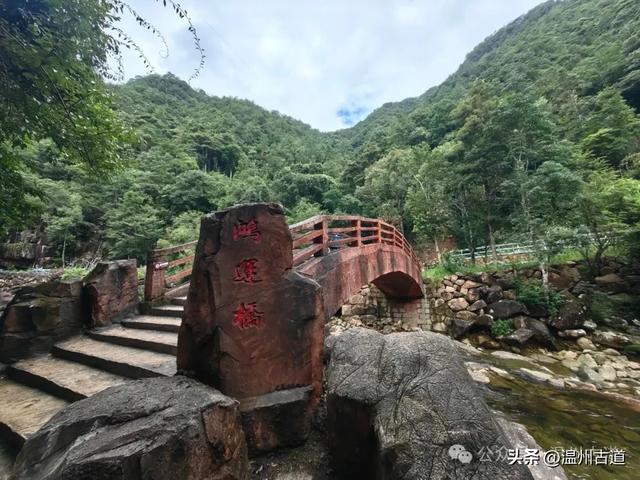 温州这个以畲族始祖命名的4A级景区，秘藏着一座“生物王国”！
