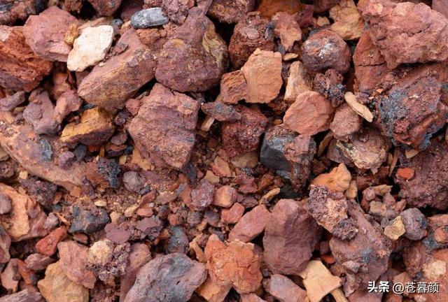 日本对中国的反击很猛，美国嗅到不寻常信号，做出了一个明智选择