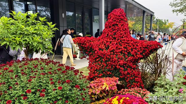 秋韵菊香、沙湖寻美—— 沙湖公园武汉第42届菊花展掠影