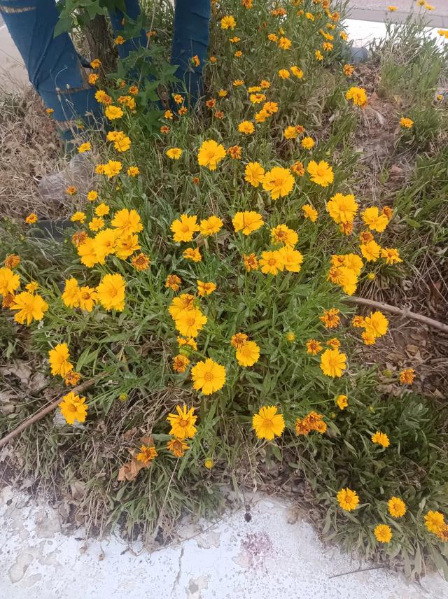 我的旅游计划