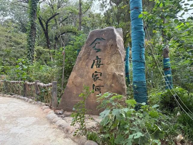 当唐家河“搬”进南京城：一场跨越千里的自然邂逅