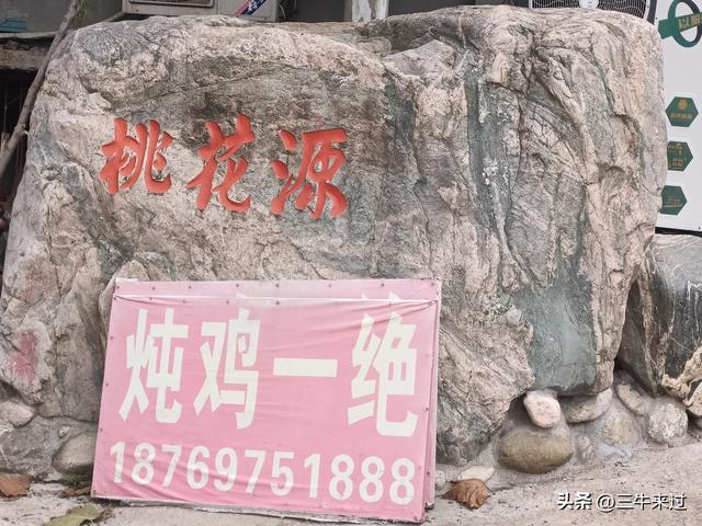 无为在歧路，济南红叶谷