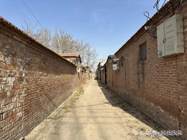 冠县乡韵·辛集镇饮马庄