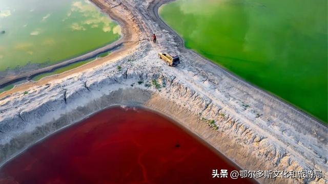 大地的笔触：在杭锦旗遇见哈日芒乃淖的“生命之树”