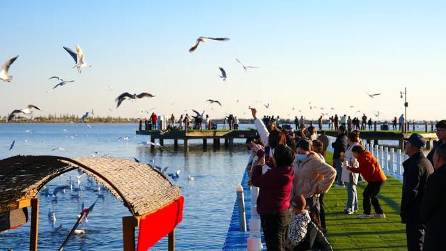 秋假宝藏目的地：包头，解锁11月别样精彩