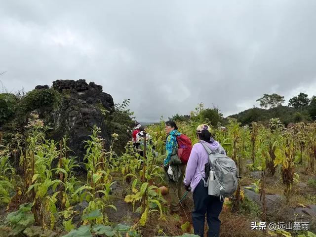 徒步石林蓑衣山、赏水上石林,遇降雨淅淅沥沥,收获特别的体验
