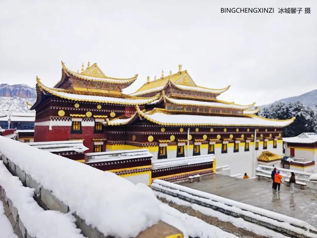 甘南-川西北之旅-6︱六月雪吻郎木寺