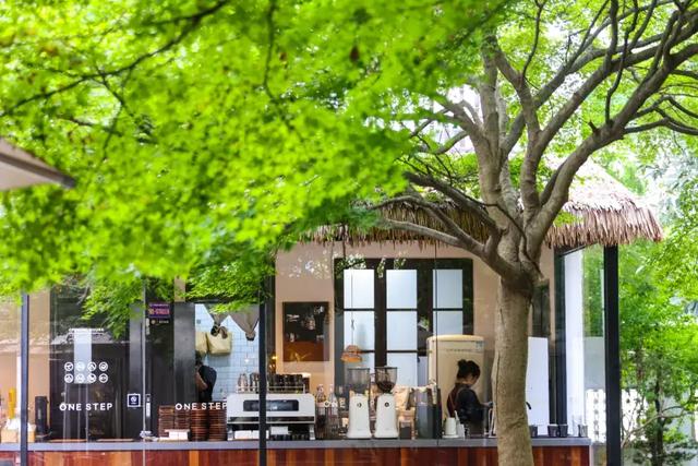 名单公布！上海市 枫泾古镇上榜2025年“最美小镇”