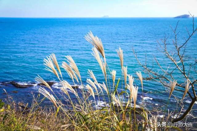 大连初冬看海，人少，景美，速来！