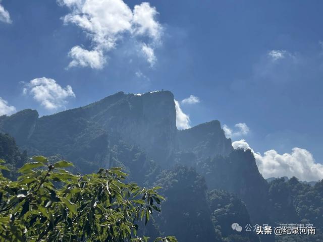 人间仙境南阳市西峡县老界岭避暑散记：寻一方清凉，品山野之味