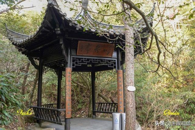 影记 | 衢州钱江源国家森林公园