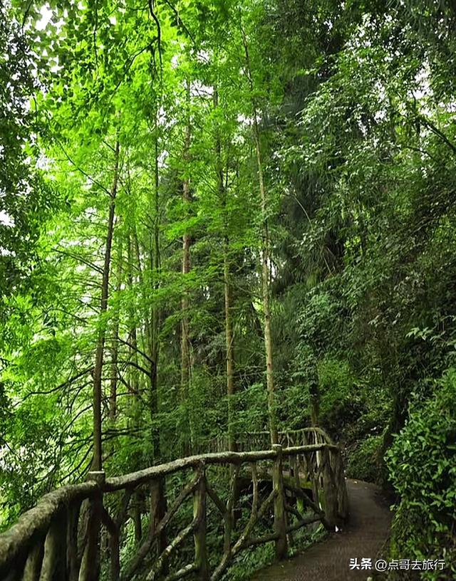 成都周边清凉胜地，三伏天穿长袖，吊桥、瀑布、栈道，不要门票！