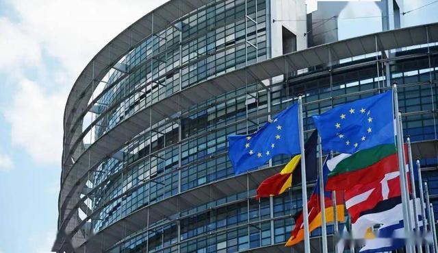 欠中企10亿！荷兰对华工厂断供，报应来了，荷兰首相要被赶下台了