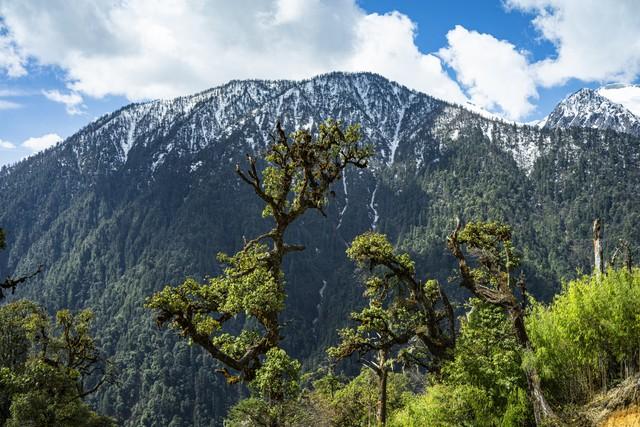 《中国国家地理》评出“中国最美峡谷挑战者榜”，这9个峡谷上榜