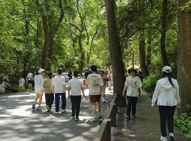 戏水撒欢享清凉！游客被夏日千山圈粉