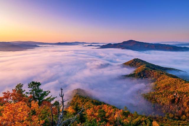 伊春十大景点有哪些？有林海奇石鹿苑峡谷等，不愧为中国的新西兰
