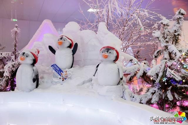 延吉山江冰雪小镇：夏日里的冰雪狂欢地