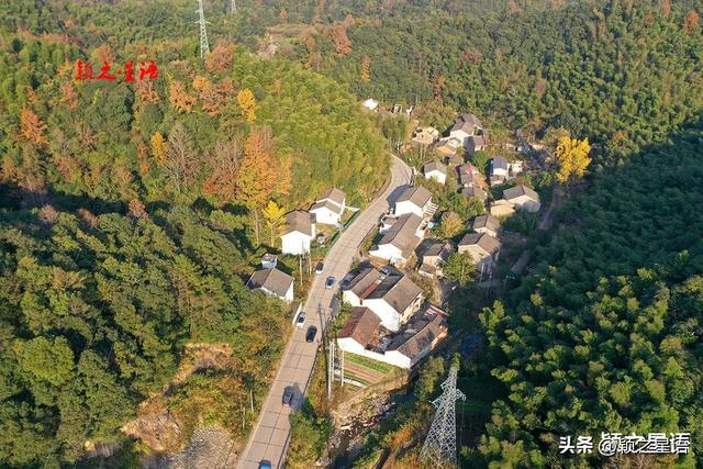 古桥、古村，银杏黄、芦苇荡，宁波城郊居然有这么美的赏秋地