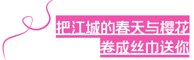 最后2天！黄鹤楼“流量天团”在线拉票