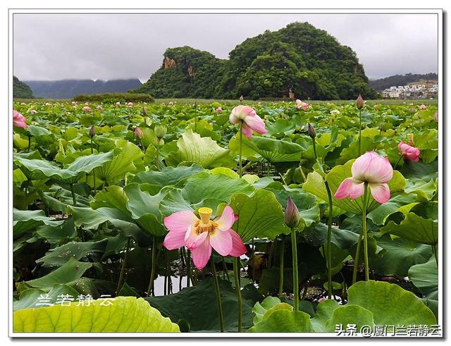 云南普者黑：自由行两日游
