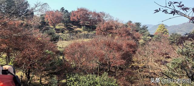 真是醉了，徒步奉化东西岙徐凫岩看悬崖飞瀑堵人竟然堵到怀疑人生