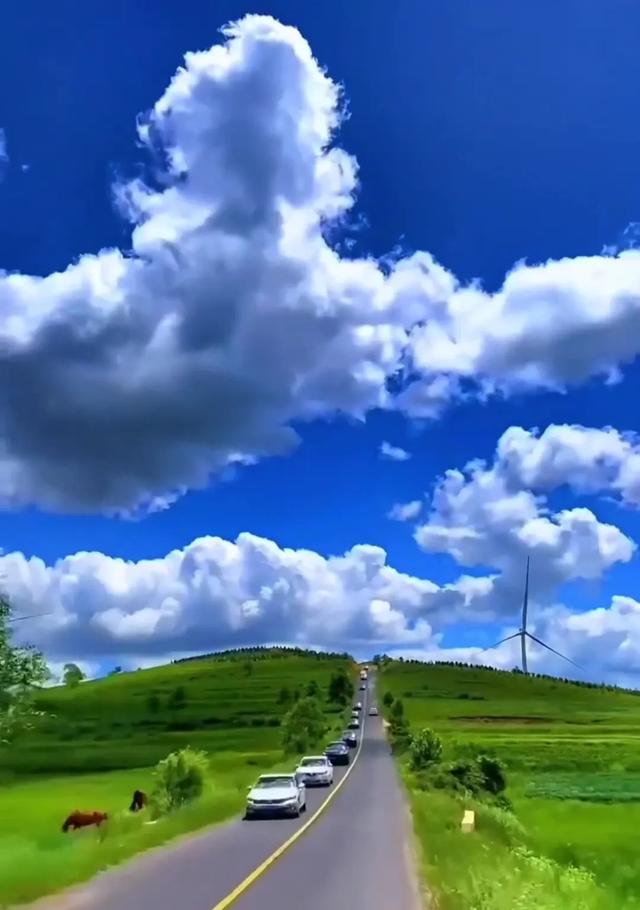张北行