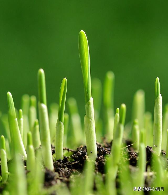 第九章：在庸常中照见灵魂（1）