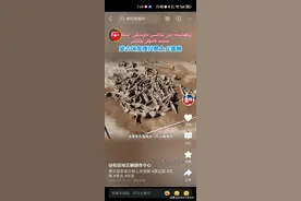 蒙古考古现霍去病士兵遗骸，2000年前大汉英雄，网友呼吁迎接回国图片