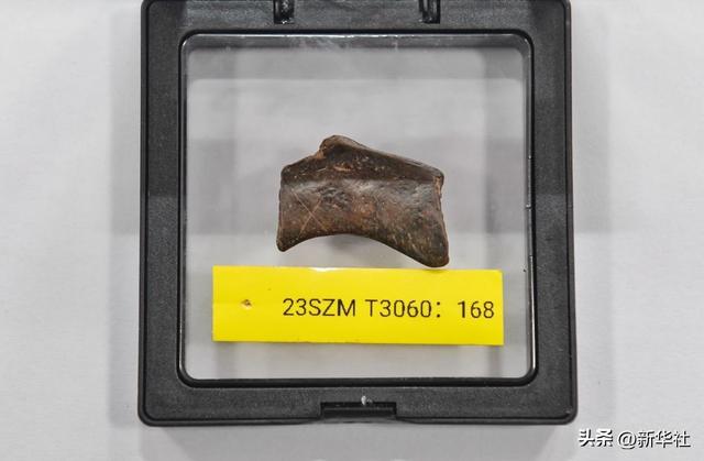 镜观·回响｜巴风蜀韵承古脉 千年文华耀西川