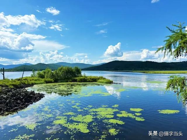 在阿尔山，邂逅一个22℃的夏天