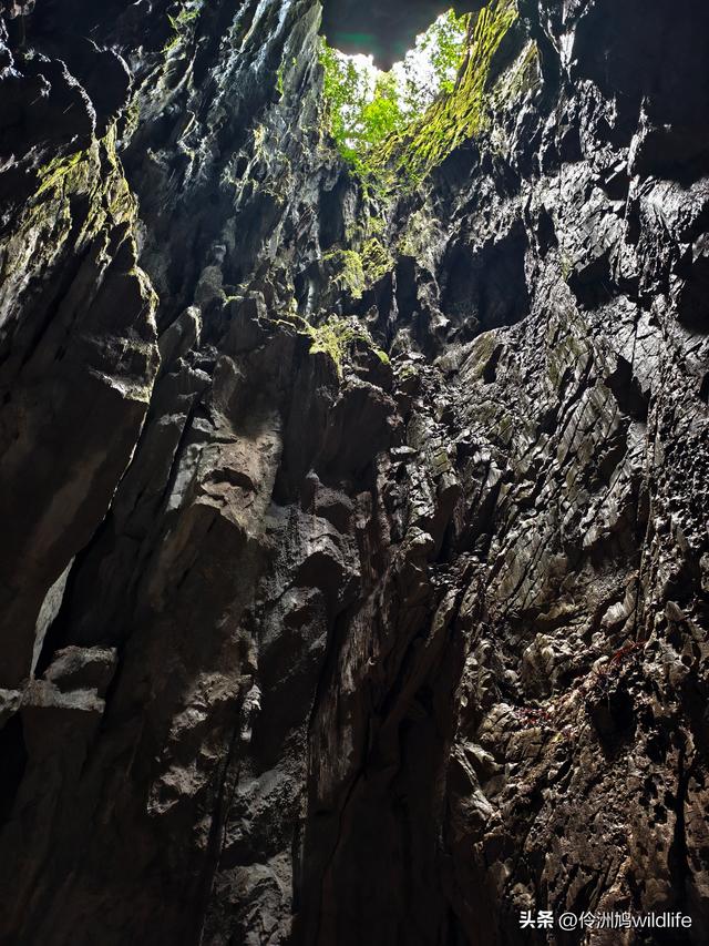 马来西亚(29)砂拉越州③姆鲁山清水洞·风洞