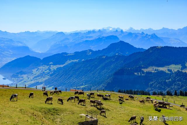 欧游杂记（5）‖ 齿轮火车几上几下瑞吉山，缆车凌空飞跃韦吉斯