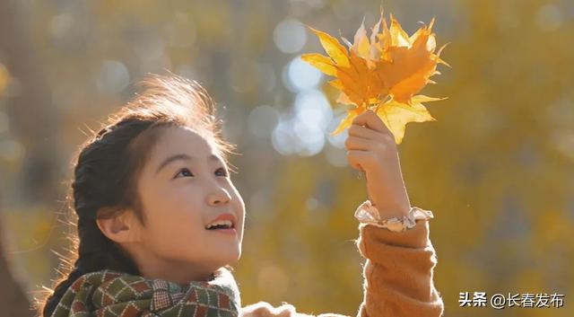 秋韵浸水园 微光与落叶的密语