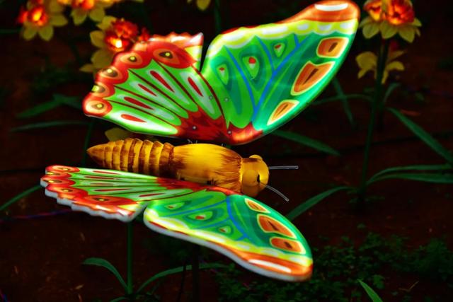 桂林:首届非遗千灯游园,光影艺术璀璨盛宴!