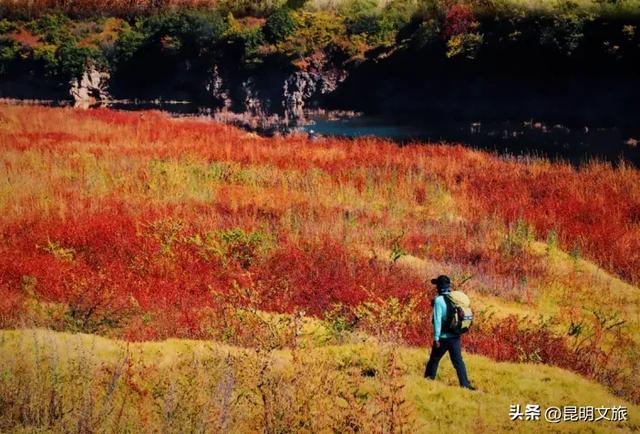 来一场短暂的城市逃离!盘龙这些登高好去处你知道吗?
