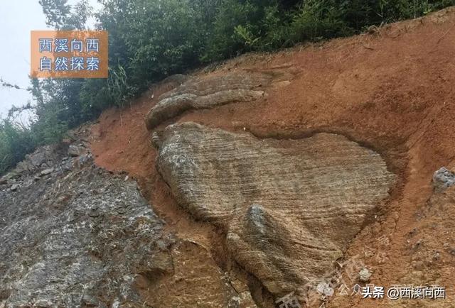 神似布达拉宫,富阳这个小村的房子造的很有气势,附近还有溶洞