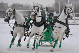 大力引进外企，切实提高财政收入和老百姓工资图片