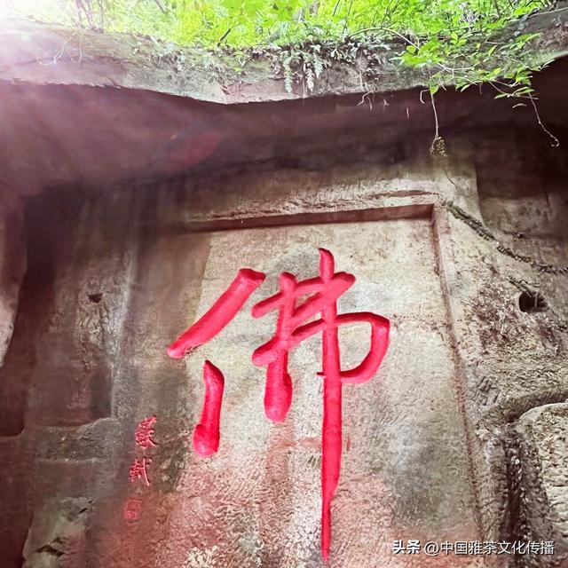 乐山乐水，顺风顺水
