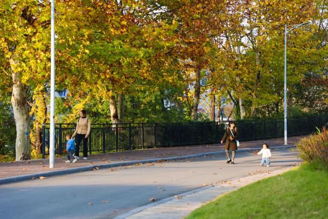 打卡心形湖！重庆这个公园美成油画