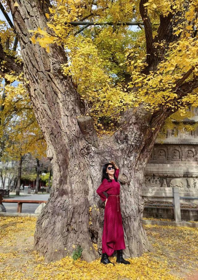 初冬，六百年五塔寺的最后一抹鎏金